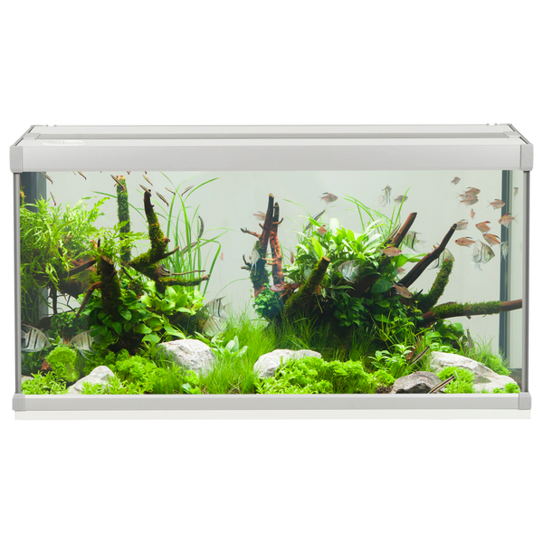 Afbeelding Akvastabil Family Aquarium - Aquaria - 80x35x42 cm 112 l Grijs Wit door Petsplace.nl