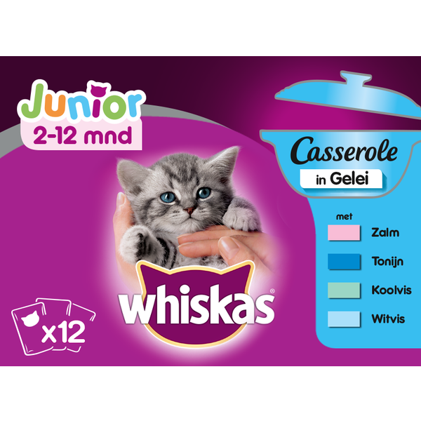 Afbeelding Whiskas Casserole Junior - Kattenvoer - Vis Gelei 12x85 g door Petsplace.nl