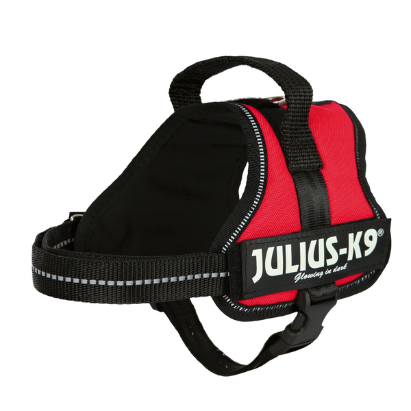 Afbeelding Julius-K9 Powertuig Mini-Mini - S - Rood door Petsplace.nl