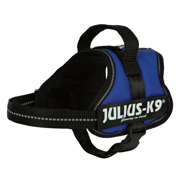 Julius k9 power-harnas voor hond / tuig voor voor labels blauw Minimini/40-53 cm