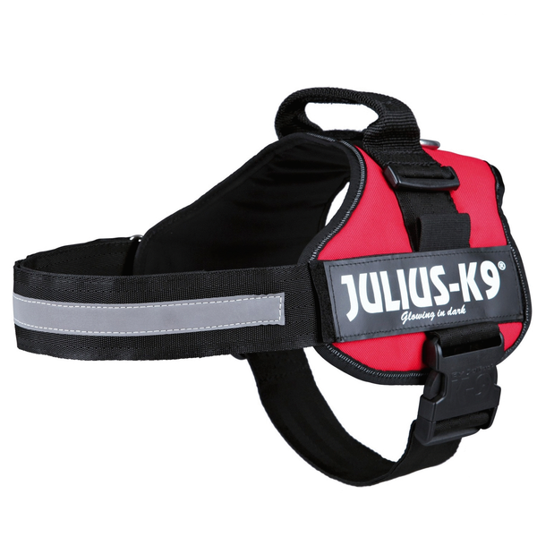 Julius-K9 Powertuig 2 - L/XL - Rood