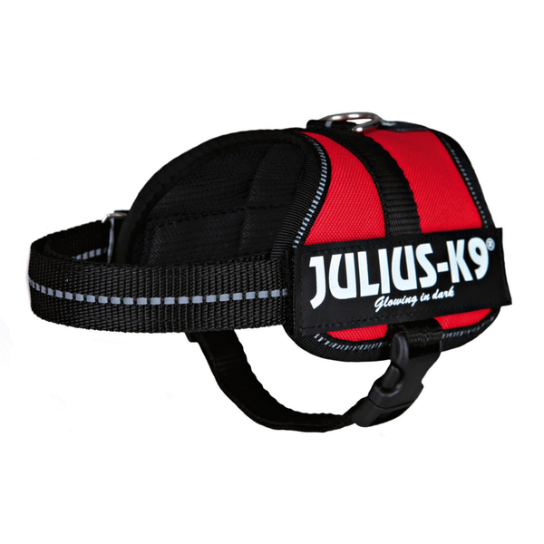 Afbeelding Julius-K9 Powertuig Baby 2 - XS/S - Rood door Petsplace.nl