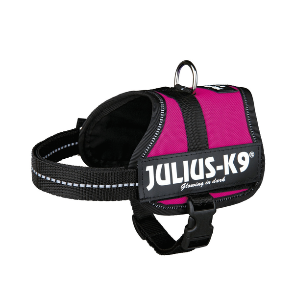 Julius k9 power-harnas voor hond / tuig voor voor labels fuchsia Baby 2/33-45 cm