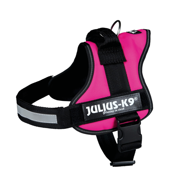 Julius k9 power-harnas voor hond / tuig voor voor labels fuchsia Maat 0/58-76 cm