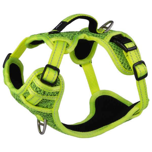 Afbeelding Rogz Explore Tuig Gevoerd Geel - Hondenharnas - 37-48 cm door Petsplace.nl