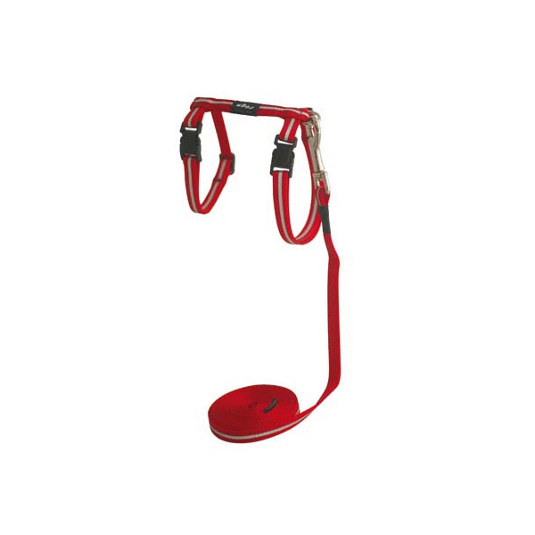 Halsband & Riem
