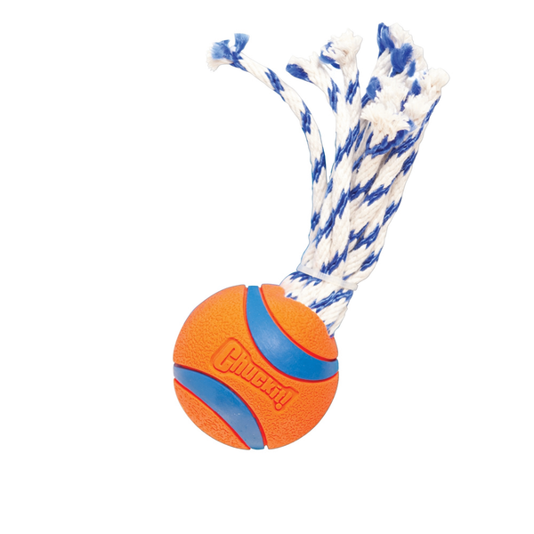 Afbeelding Chuckit Ultra Toss S 5 Cm door Petsplace.nl