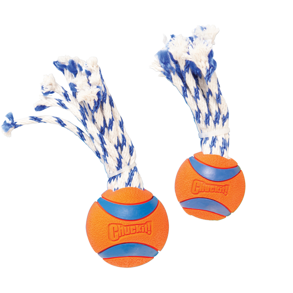 Afbeelding Chuckit Ultra Toss M door Petsplace.nl