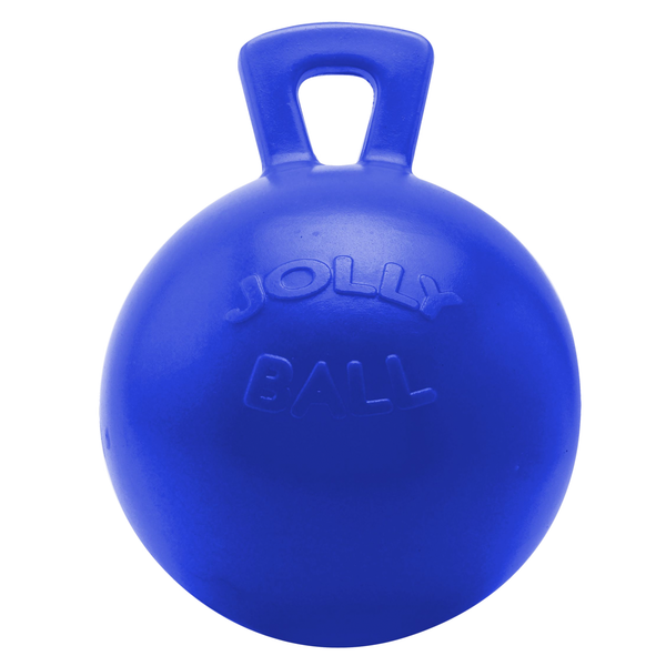 Afbeelding Jolly Ball BLAUW 25cm door Petsplace.nl