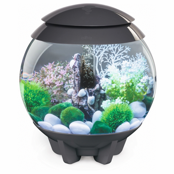 Afbeelding Biorb Aquarium Halo 15 Mcr - Aquaria - Grijs door Petsplace.nl