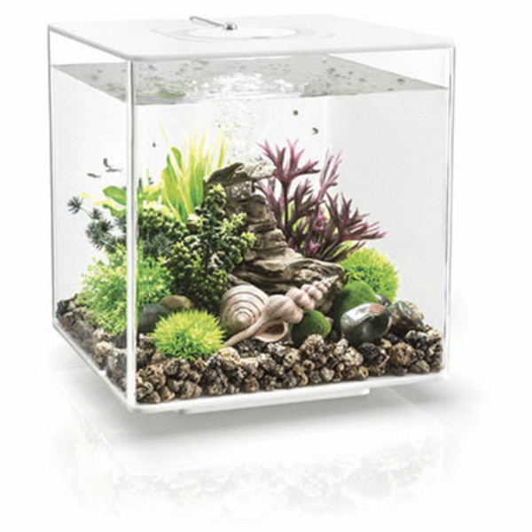 Biorb Aquarium Cube 30 Mcr - Aquaria - 30 l Transparant