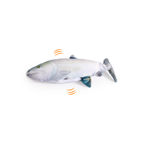 Afbeelding All For Paws Fish Sardine - Kattenspeelgoed - 28x12x5.5 cm Multi-Color door Petsplace.nl