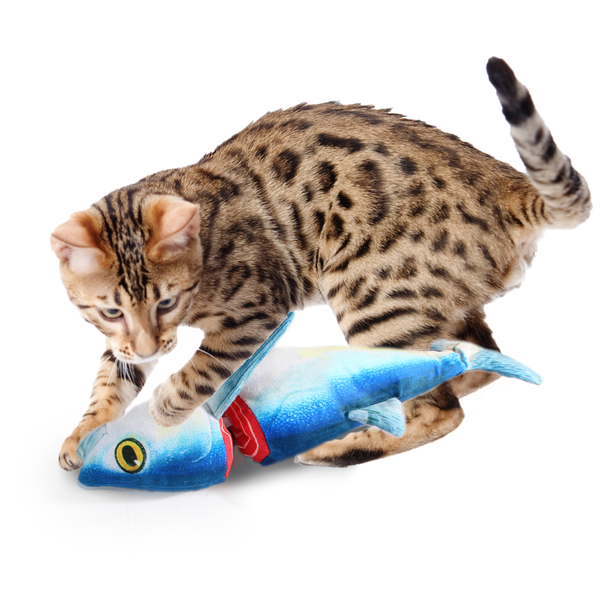 Afbeelding All For Paws Chopped Tuna - Kattenspeelgoed - 35x13.5x5.5 cm Blauw door Petsplace.nl
