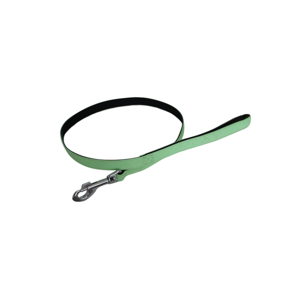 Afbeelding Ploeg Looplijn Artleder 15mm Appelgroen - Hondenriem - 100x1.5 cm door Petsplace.nl