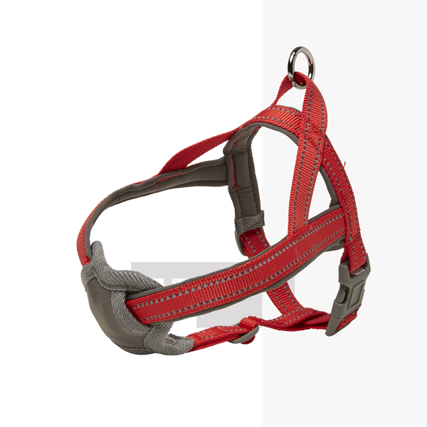 Afbeelding Adori Harnas Neopreen Rood&Grijs - Hondenharnas - a 16 b 34-43x1.5 cm door Petsplace.nl