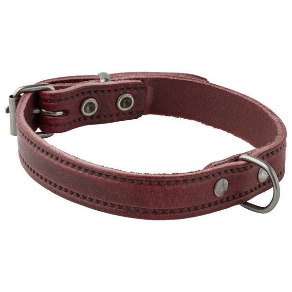 Afbeelding Adori Halsband Italy Met Print Old Silver Paars - Hondenhalsband - 14mmx35 cm door Petsplace.nl