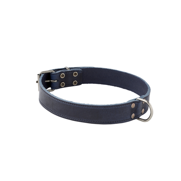 Afbeelding Adori Halsband Italy Met Print Old Silver Blauw - Hondenhalsband - 30mmx60 cm door Petsplace.nl