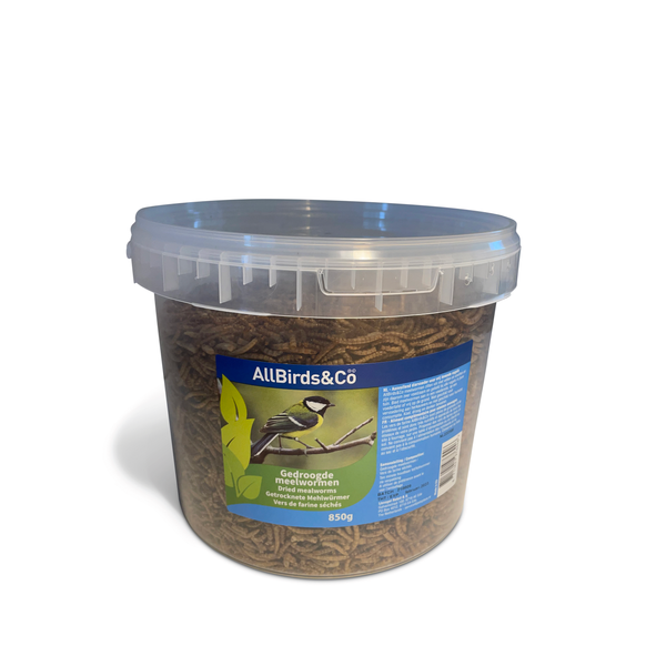 Allbirds&Co Gedroogde Meelwormen In Emmer - Voer - 850 g