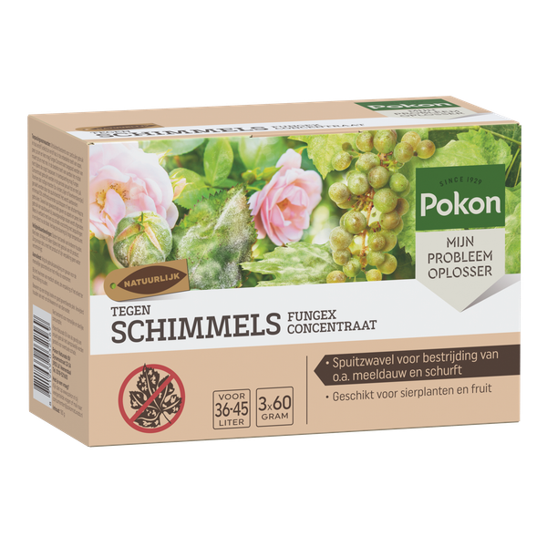 Pokon Tegen Schimmels Spuitzwavel - Schimmelbestrijding - 180 g