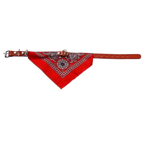 Afbeelding Adori Hondenhalsband met zakdoek Leer Rood 35 cm door Petsplace.nl