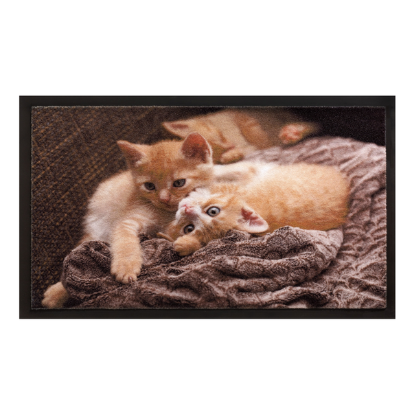 Afbeelding Hamat Deurmat Image Cats - Deurmat - 40x60 cm Multi-Color door Petsplace.nl