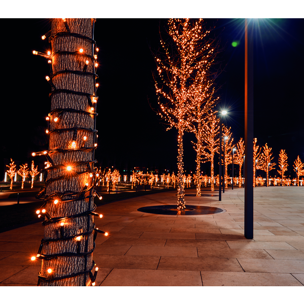 Afbeelding Cbd Connectable Snoer - Kerstverlichting - 10 m Classic Warm 100 led door Petsplace.nl