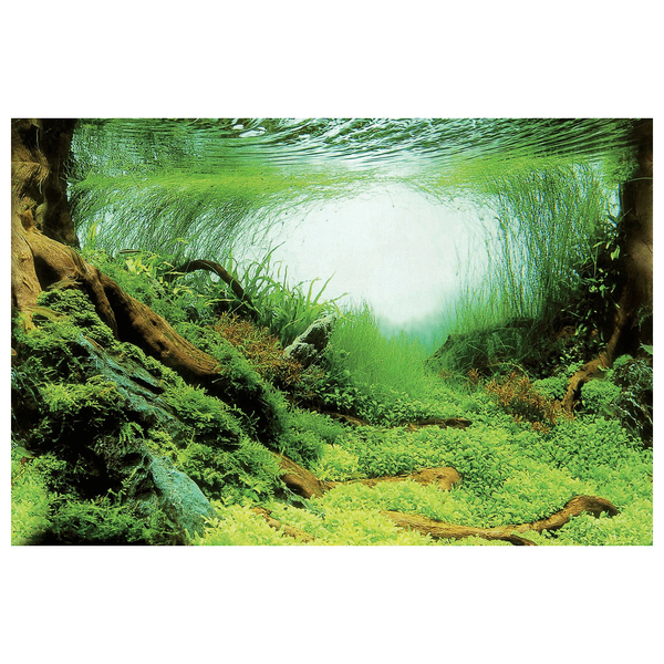 Superfish Deco Poster Aquarium Achterwand 150X61 cm Aquascape Plant