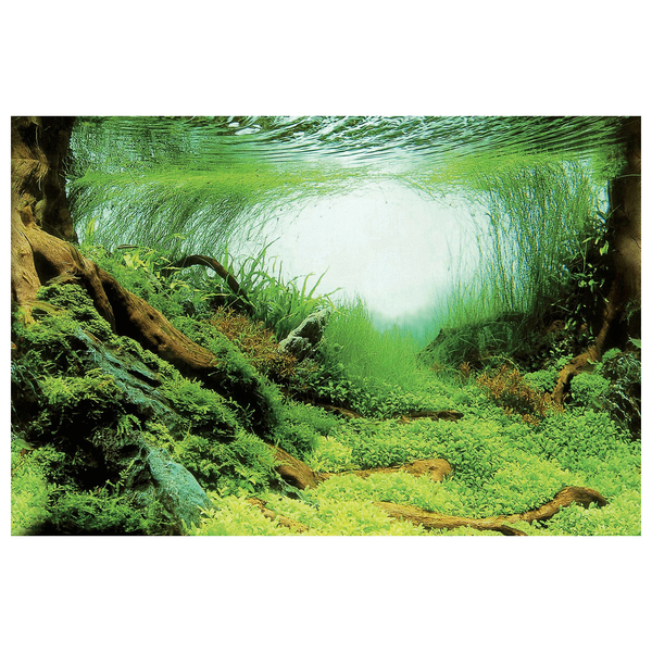 Afbeelding Superfish - Deco Poster C door Petsplace.nl