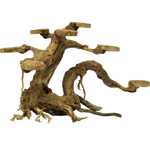 Afbeelding SuperFish Bonsai Planter Small aquaria door Petsplace.nl