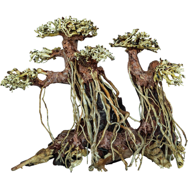 Afbeelding Superfish Bonsai Twin Tree - Aquarium - Ornament - Medium door Petsplace.nl