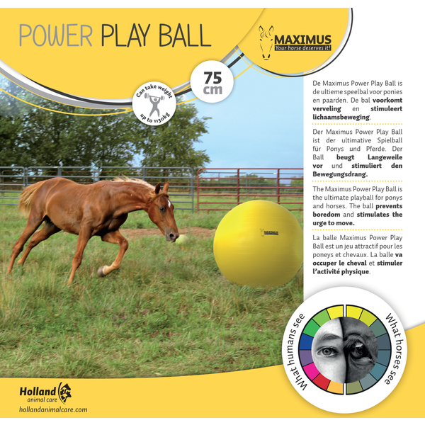 Afbeelding Maximus Maximus Power Play Ball Geel - Paardenspeelgoed - 75 cm door Petsplace.nl
