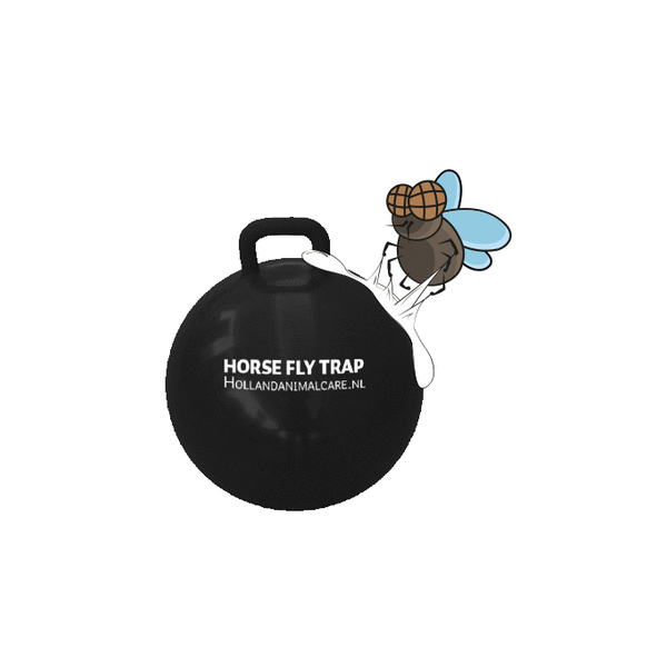 Horse Fly Trap Ball