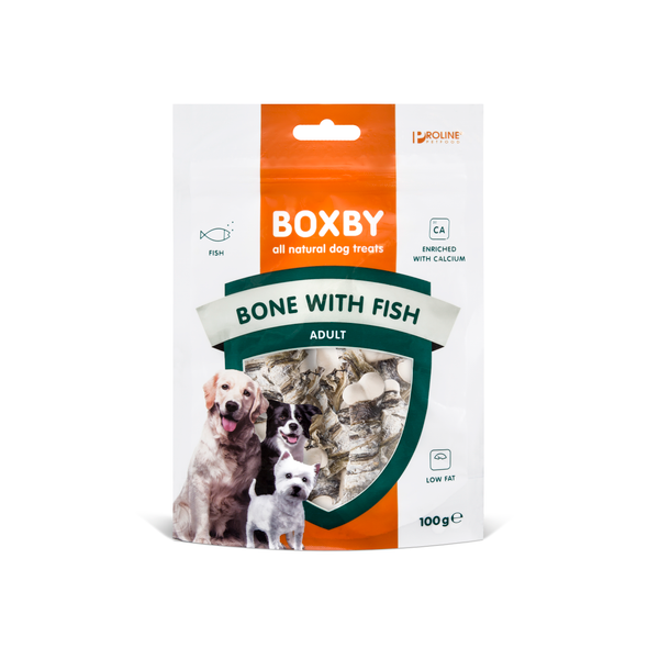Boxby Bone With Fish Vis - Hondensnacks - 100 g