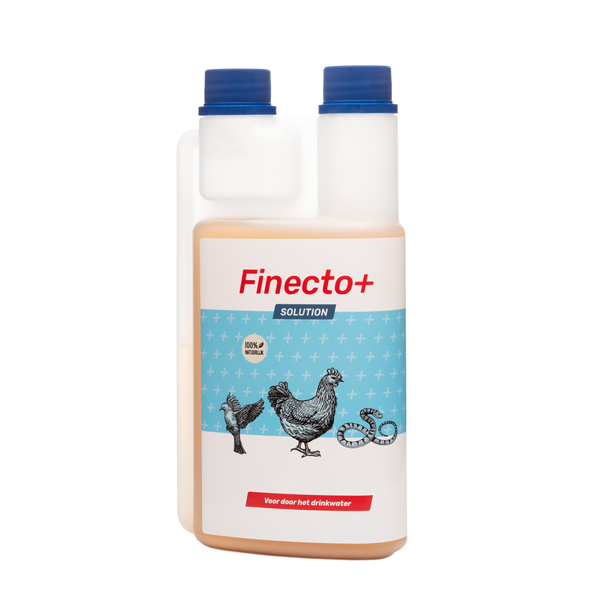 Finecto+ Solution - Anti bloedluizenmiddel - 500 ml