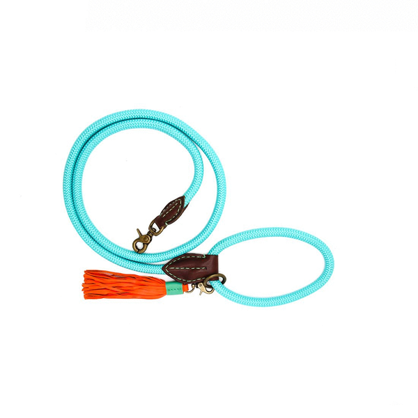 Afbeelding Dwam Looplijn Turquoise - Hondenriem - 155x2.0 cm door Petsplace.nl