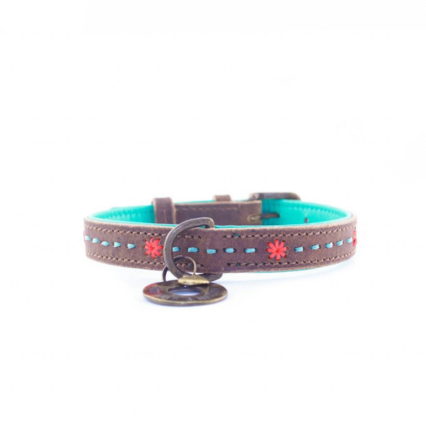 Afbeelding DWAM Halsband Joplin - S (2 cm) door Petsplace.nl