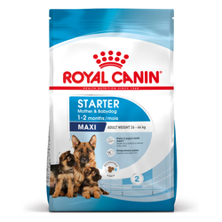 9003579311462 ROYAL CANIN Starter Mousse Mother & Babydog - can 195g Royal  C