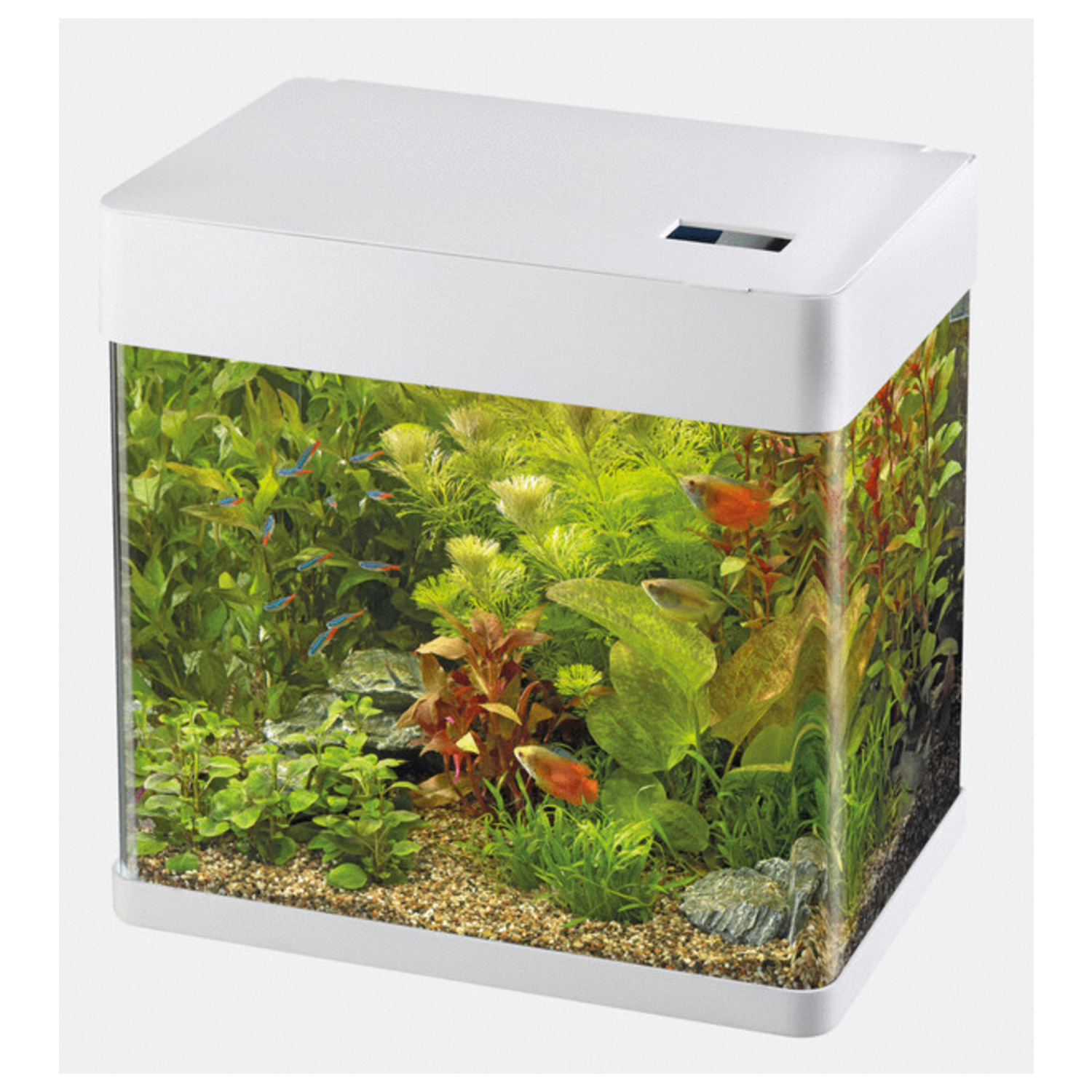 Superfish tropical hotsell kit 30